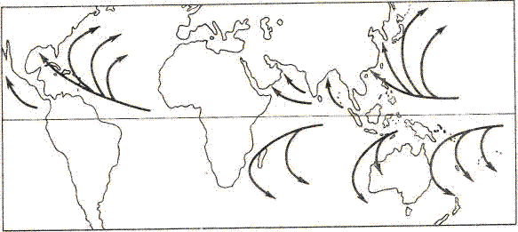 Урок течения 7 класс. Карта распространения тропических циклонов.