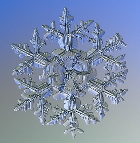 Снежинка в форме звездчатого дендрита