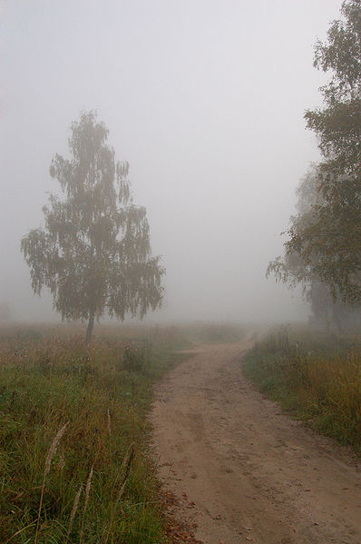 398px fog in moscow oblast