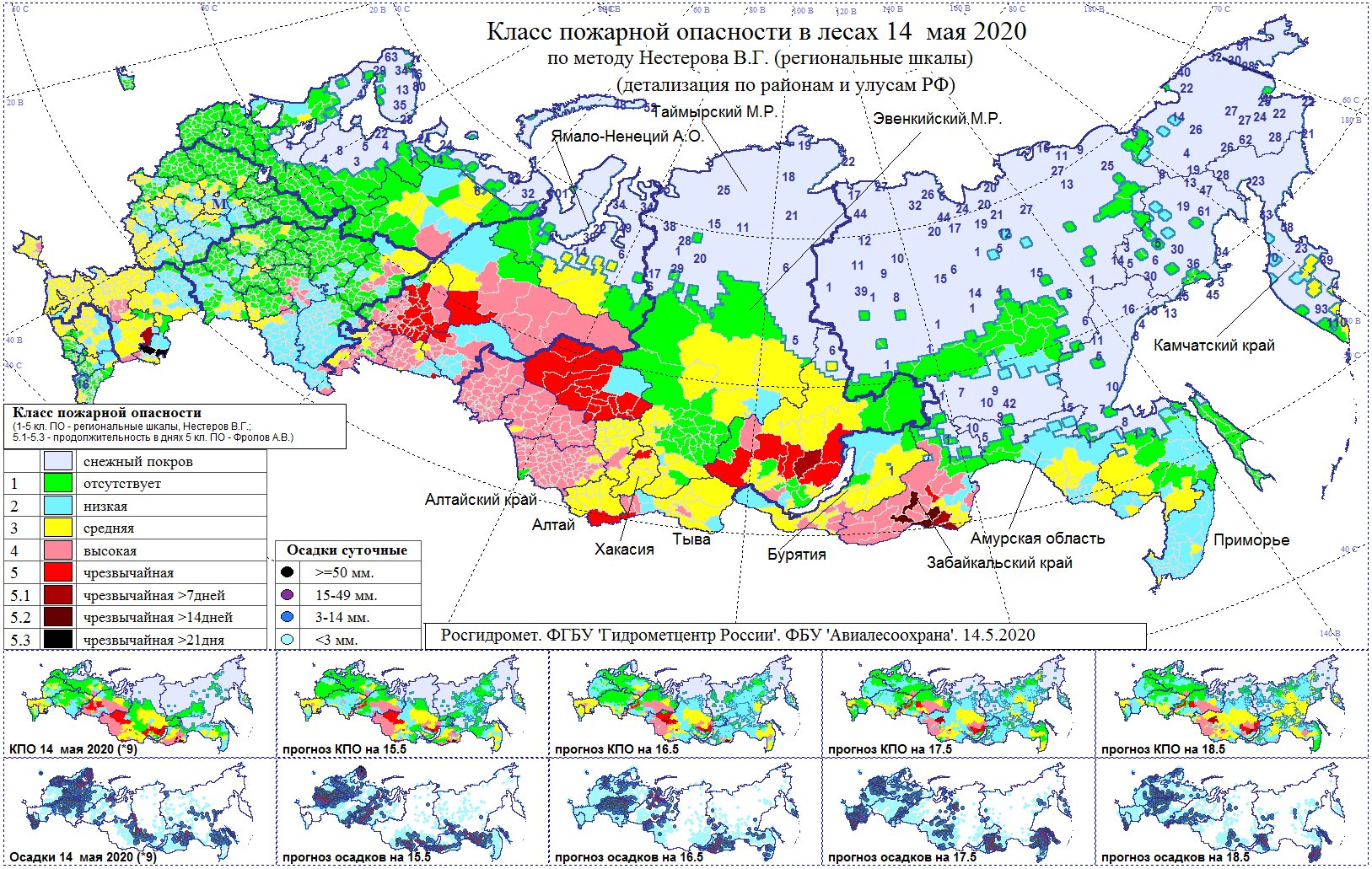 Российский лес 2020