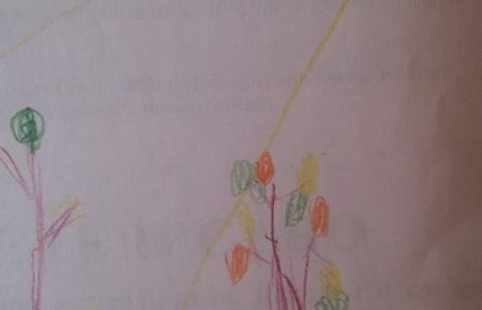 Крапива Дима, 6 лет, г. Барнаул