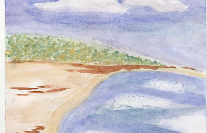  г. Москва  11 лет