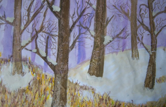  Англия  12 лет